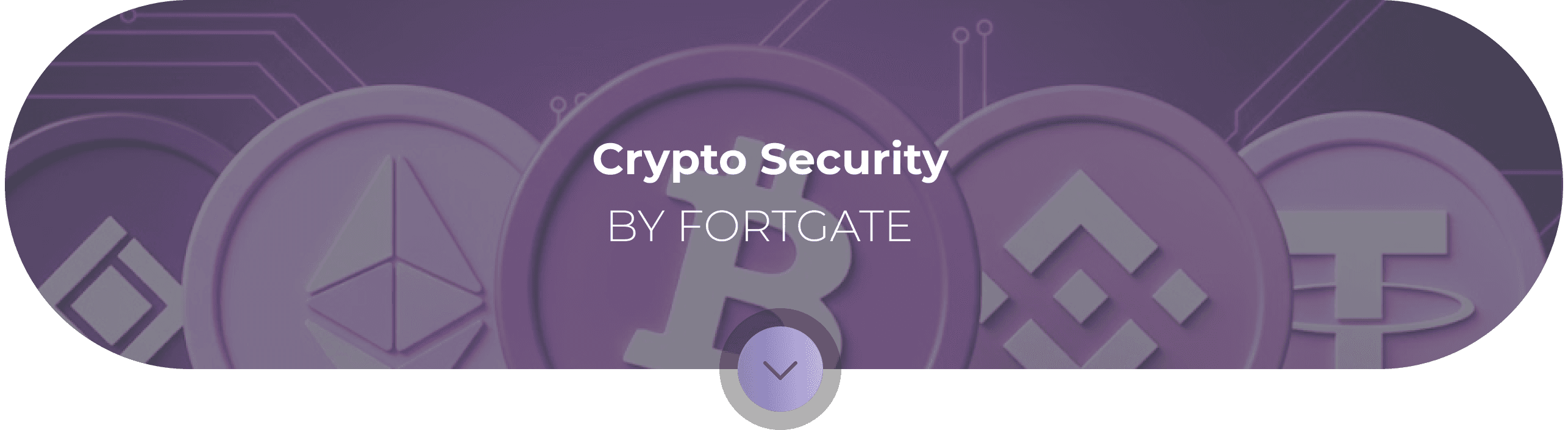 Crypto Security BY FORTGATE